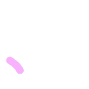 256