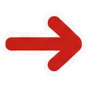 101