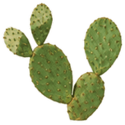 002
