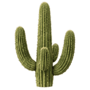 007