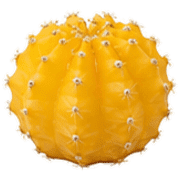 011