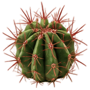 019