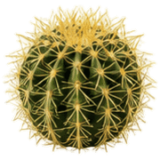 023