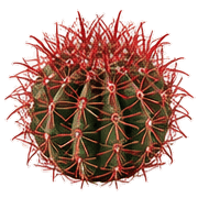 025