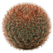 029