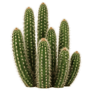 033