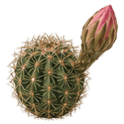 040