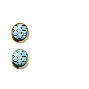 244