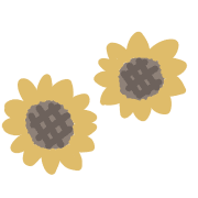 039