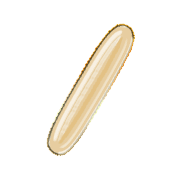 247