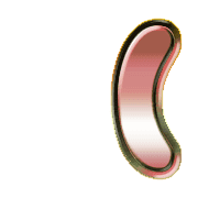 073