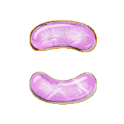 010