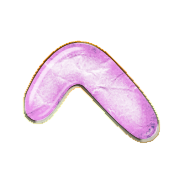 029