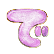 069