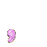 245