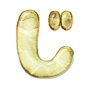 062