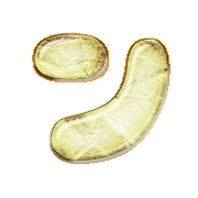 126