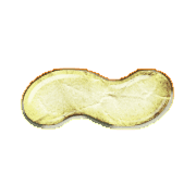 224