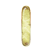 242