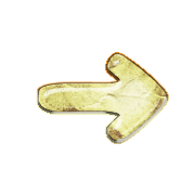 262