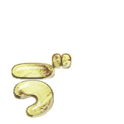 279