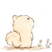 003