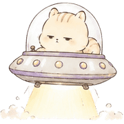 005