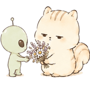 011
