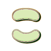 010
