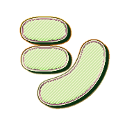 092