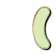 234