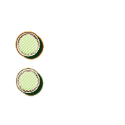 244