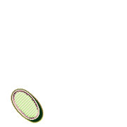 256