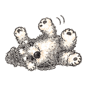 020