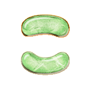 010