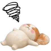 019