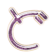 070