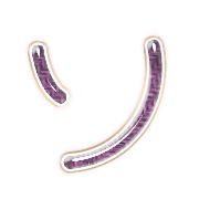 095