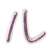 121