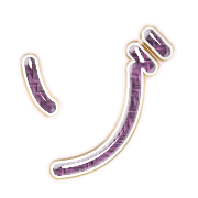 145