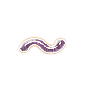 224