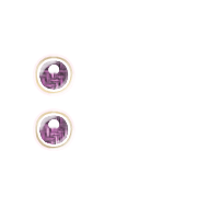 244