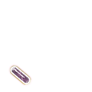256