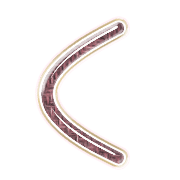 008