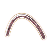 029