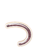 052
