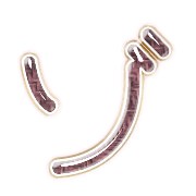 145