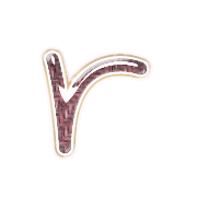 205