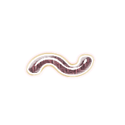 224