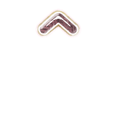 231